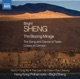 B Sheng The Blazing Mirage