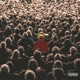 Social Life feat Pollyzie Karl Francis Single