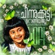 Chinnukkutty Urangeele Lofi Single