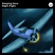 Night Flight Single