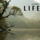 Goerbig Life Single