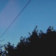 Conduit Single