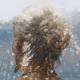 The Woods Single