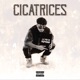 Cicatrices Single