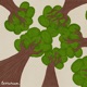 canopy Single