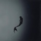 sympathisch Single