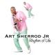 Rhythm of Life Single
