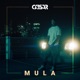 Mula Single