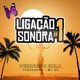 Ligação Sonora 1 Pensando Nela Single