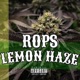 Lemon Haze Single