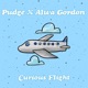 Curious Flight feat Alwa Gordon Single