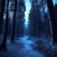 Coldness Single