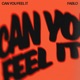 Can You Feel It Single