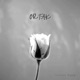 ORTAK Single