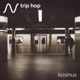 Trip Hop