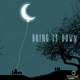 Bring It Down Single
