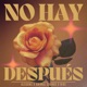 No Hay Despue s Single