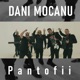 Pantofii Single