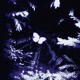 LOVE AFFECT EP
