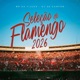 Seleção do Flamengo 2026 Single
