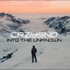 Into the Unknown Single