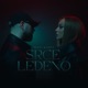 Srce Ledeno Single