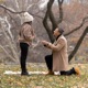 Will You Marry Me Single