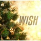 Wish Single