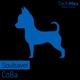 Soulsaver Single