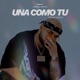 Una Como Tu Single