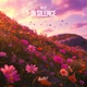 In Silence Single