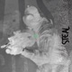 Steal Single