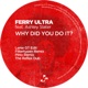 Why Did You Do It Remixes feat Ashley Slater EP
