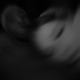 tHedaycupiddied Demo version Single