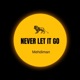 Never Let It Go Single