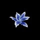 Indigo feat Hitori Single