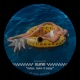 XUNE Relax Single