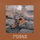 Roses Single