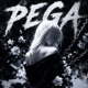PEGA Single