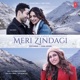 Meri Zindagi Single