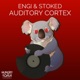 Auditory Cortex Single