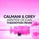 Winter Ocean Theemotion Remix Remixes Single