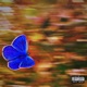 Wuts Luv feat WavyMalik Dru Single