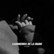 Caminemos de la Mano Single