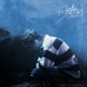 Indie Princess EP