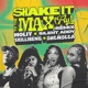 Shake It To The Max FLY Remix Single