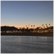 Night Waves Single
