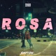 Rosa Single