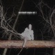 unreleased singles Vol 1