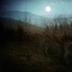 A Dream in a Dream EP